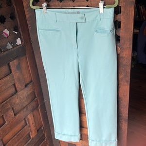 Light teal, large, petite, ankle pants.